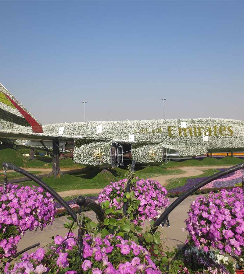 Miracle Garden Tour - mit dem A 380 aus Blumen