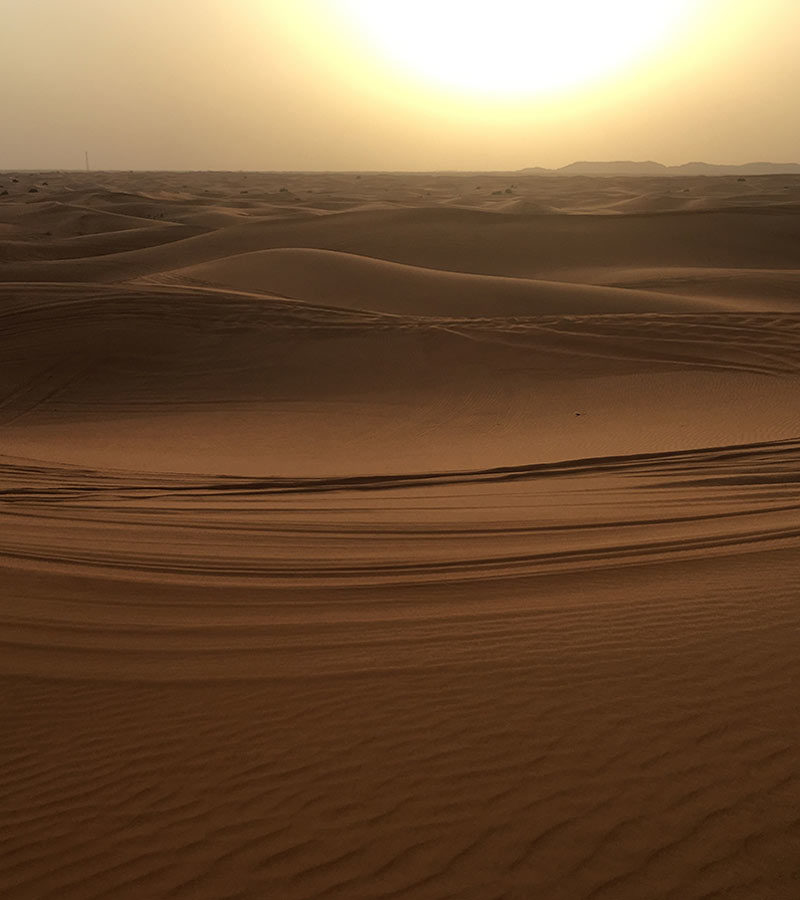 Wüstensafari in Dubai - Sonnenuntergang