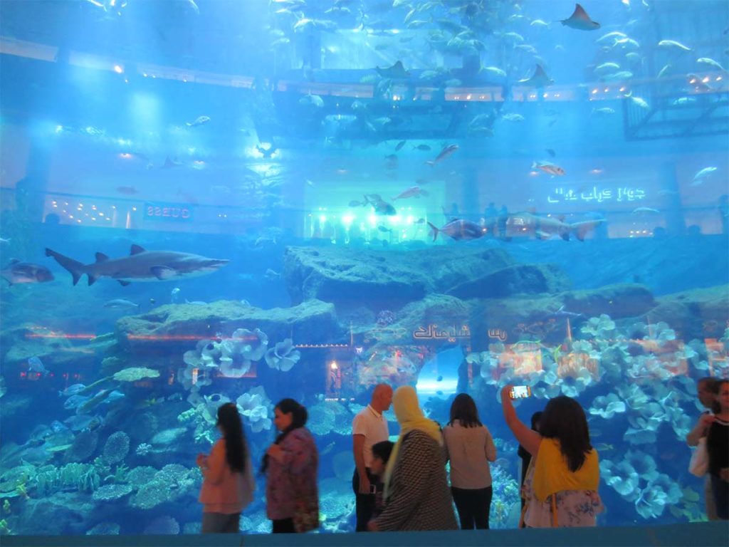 Dubai Mall Aquarium