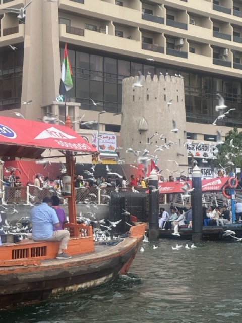 Abra in Bur Dubai