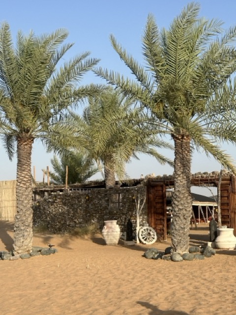 Camp am Morgen