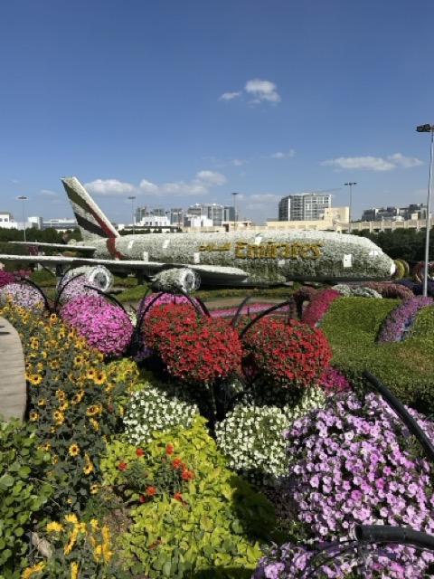 Der Miracle Garden