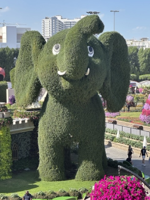 Elefant im Miracle Garden