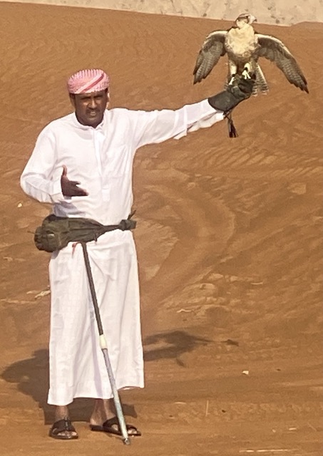 Falken Show in der Wüste