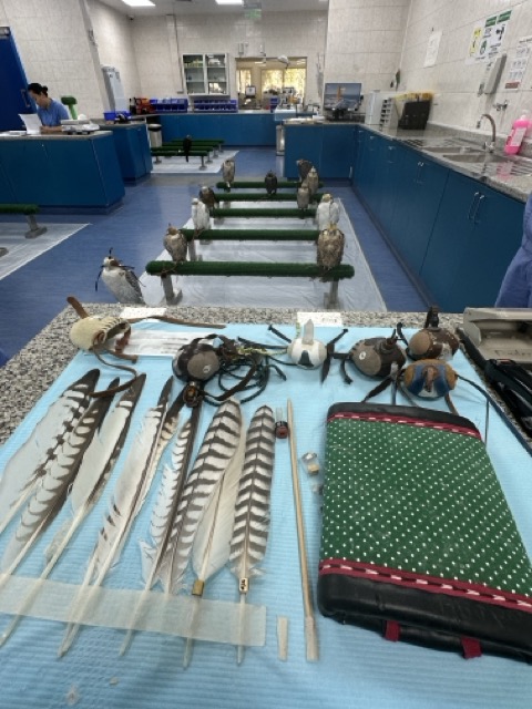 Falkenkrankenhaus Materialien