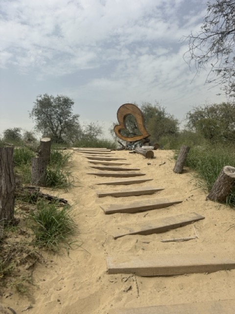 Hiking Trail mit kleinen Hindernissen