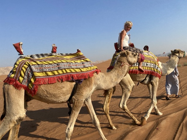Kamelsafari