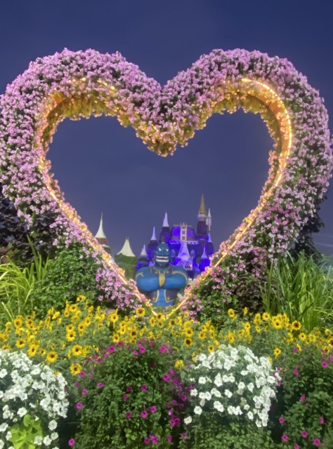 Miracle Garden im dunkeln