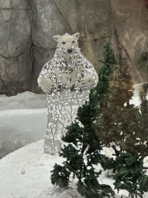 Eisbär in Ski Dubai in der mall of The Emirates
