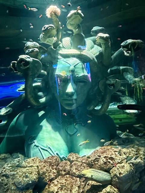 Medusa Lost Chambers
