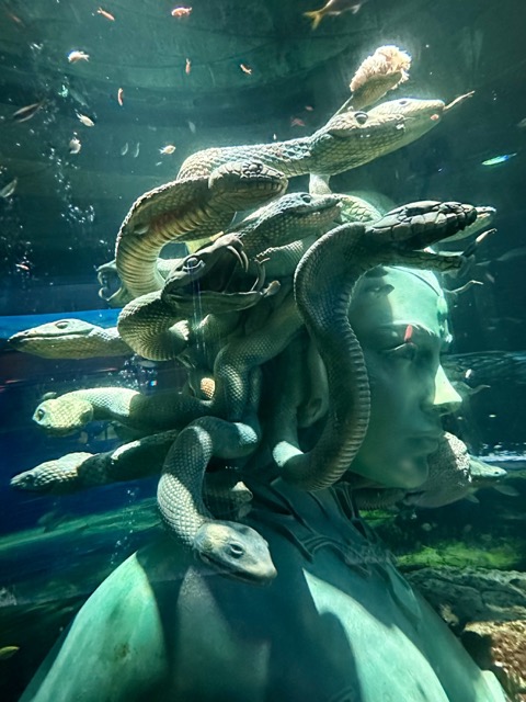 Medusa in Atlantis