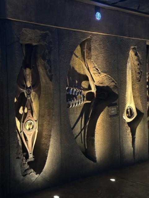 lost Chambers