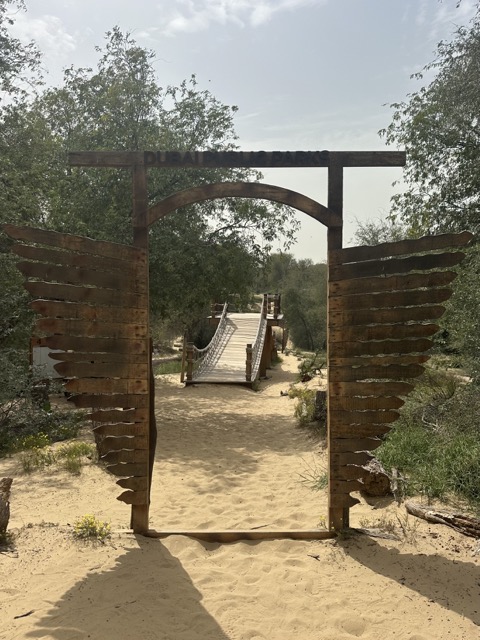 schöne Brücken im Mushrif Park
