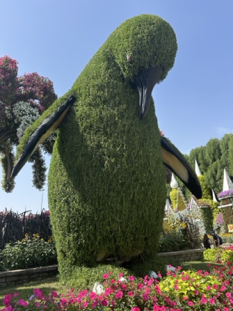 Pinguin im Miracle Garden