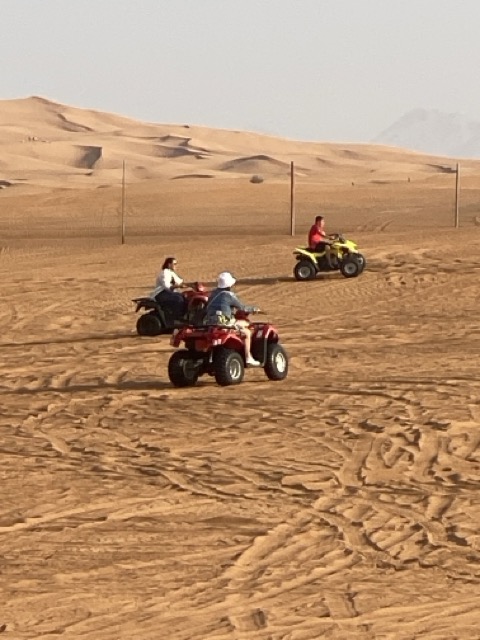 Quads in der Wüste