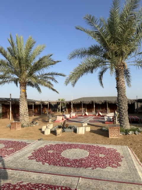 Safari Camp