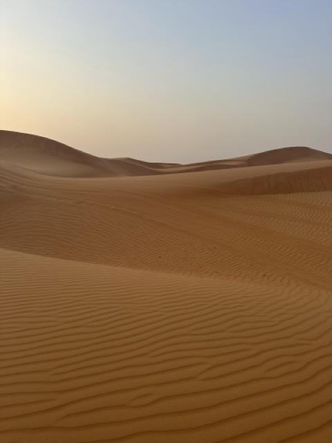 Sand in der Wüste 1