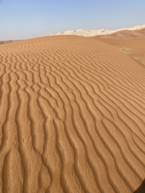 Sand in der Wüste 2