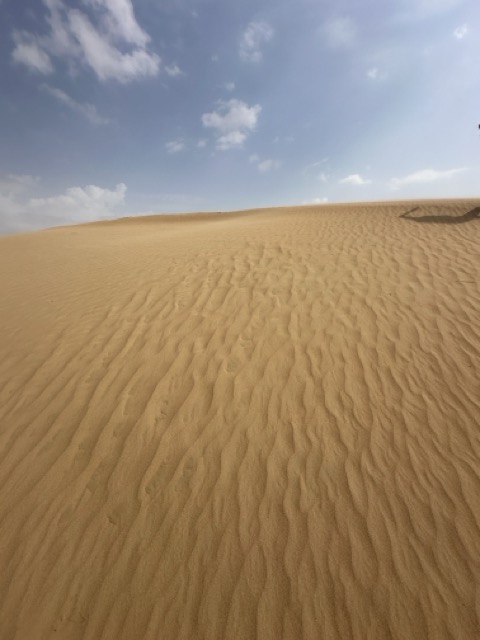 Sand in der Wüste