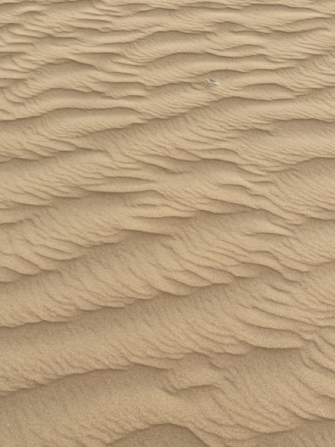 Sanddünen