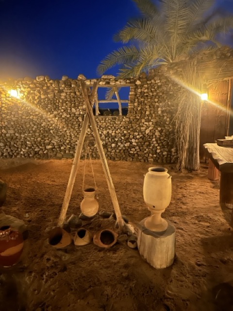 Ein Nacht in der Wüste - Camp