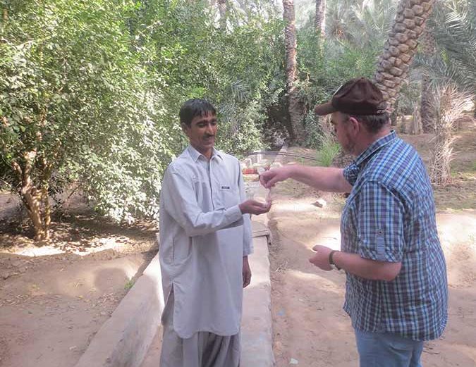 Dattelverkäufer in Al Ain Oasis