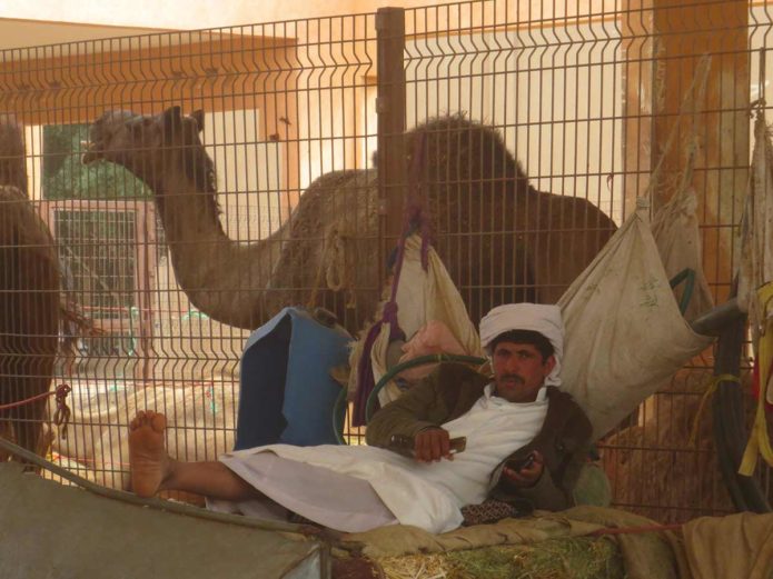 Arbeiter auf dem Kamelmarkt in Al Ain
