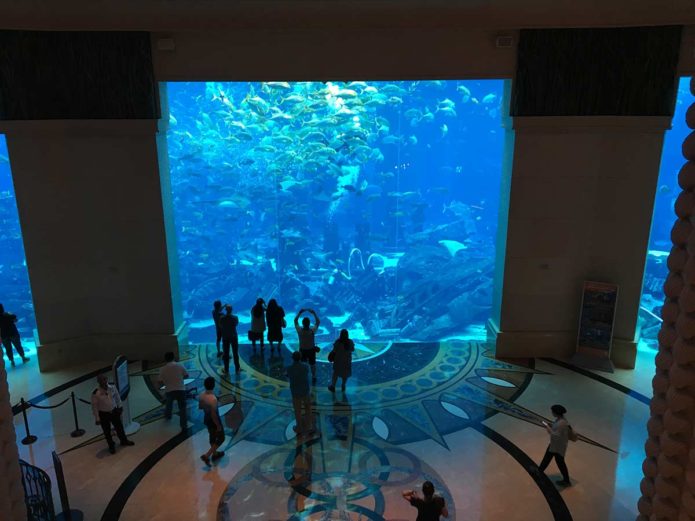 Blick ins Aquarium - Atlantis the Palm