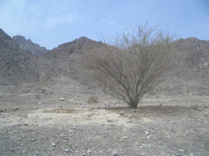 VAE Hajar Mountains