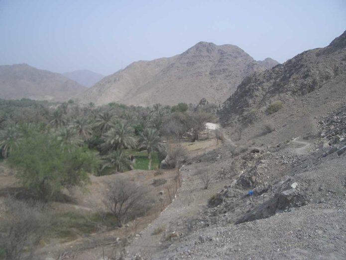 Oase in den Hajar Mountains - Ostküstentour