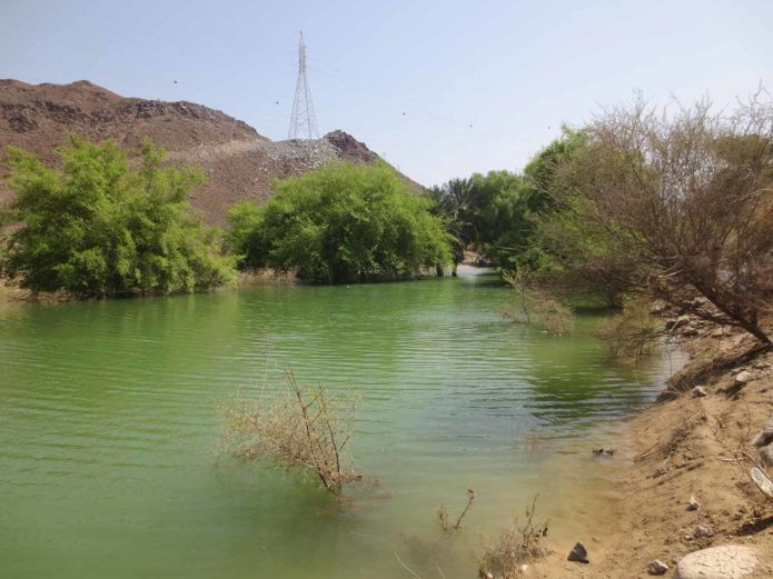 Wadi auf dem Weg zur Ostküste