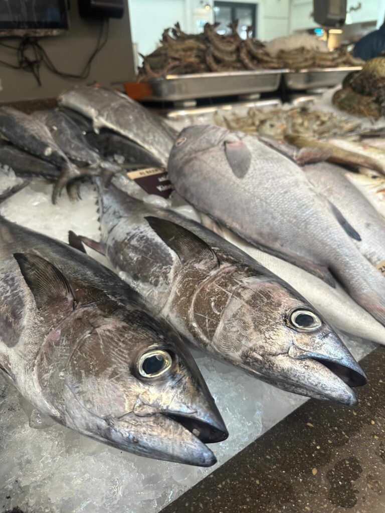 Fischmarkt Abu Dhabi 1