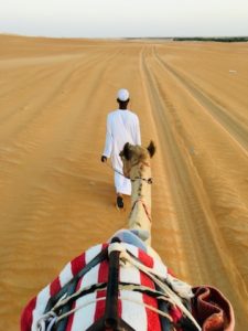 Kamelritt in Liwa - Rub Al Khali Wüste