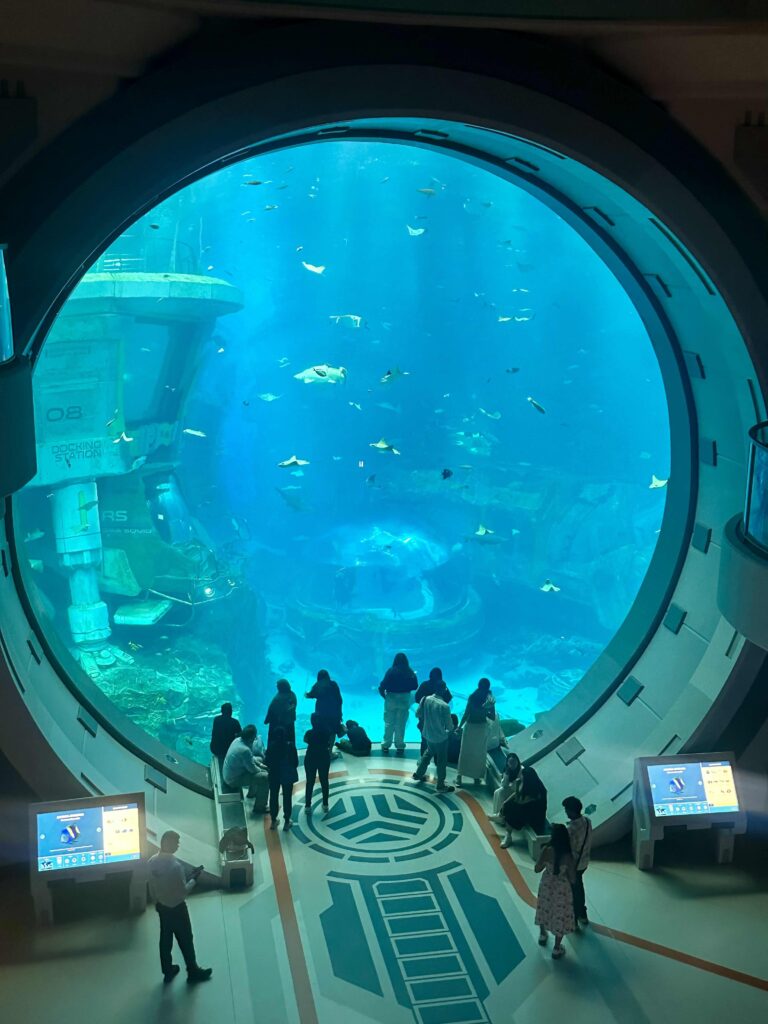 Seaworld Unterwasser